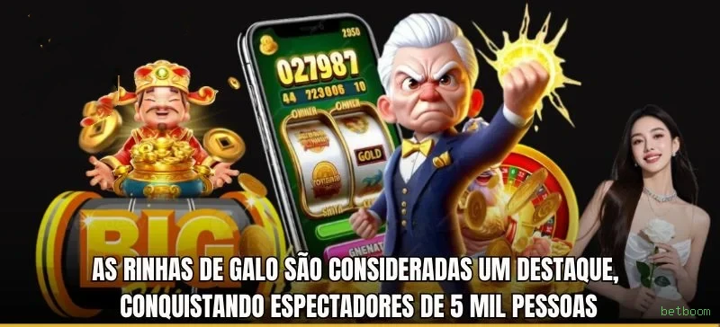 betboom Paga